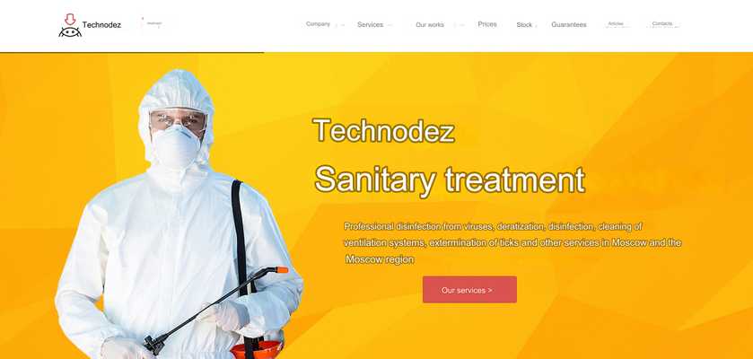 Website development for the company Technodez